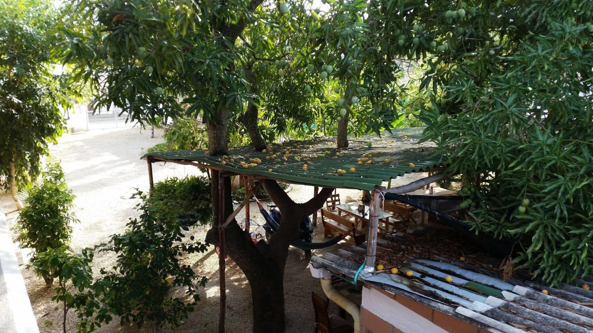 Hotel Pizzeria Opera Толу Экстерьер фото